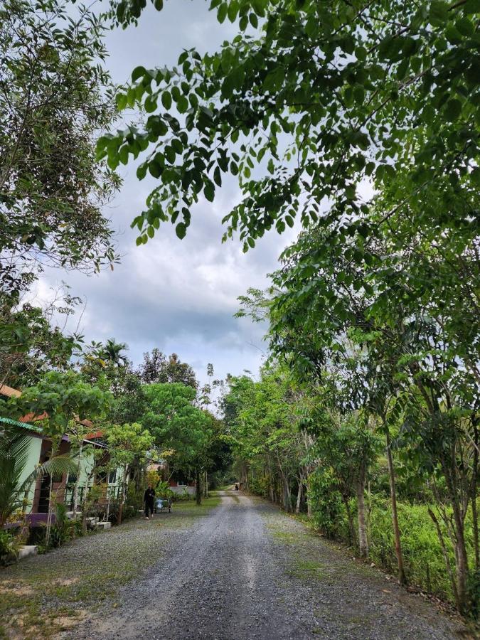 Suankafae Resort สวนกาแฟรีสอร์ท Surat Thani Eksteriør bilde