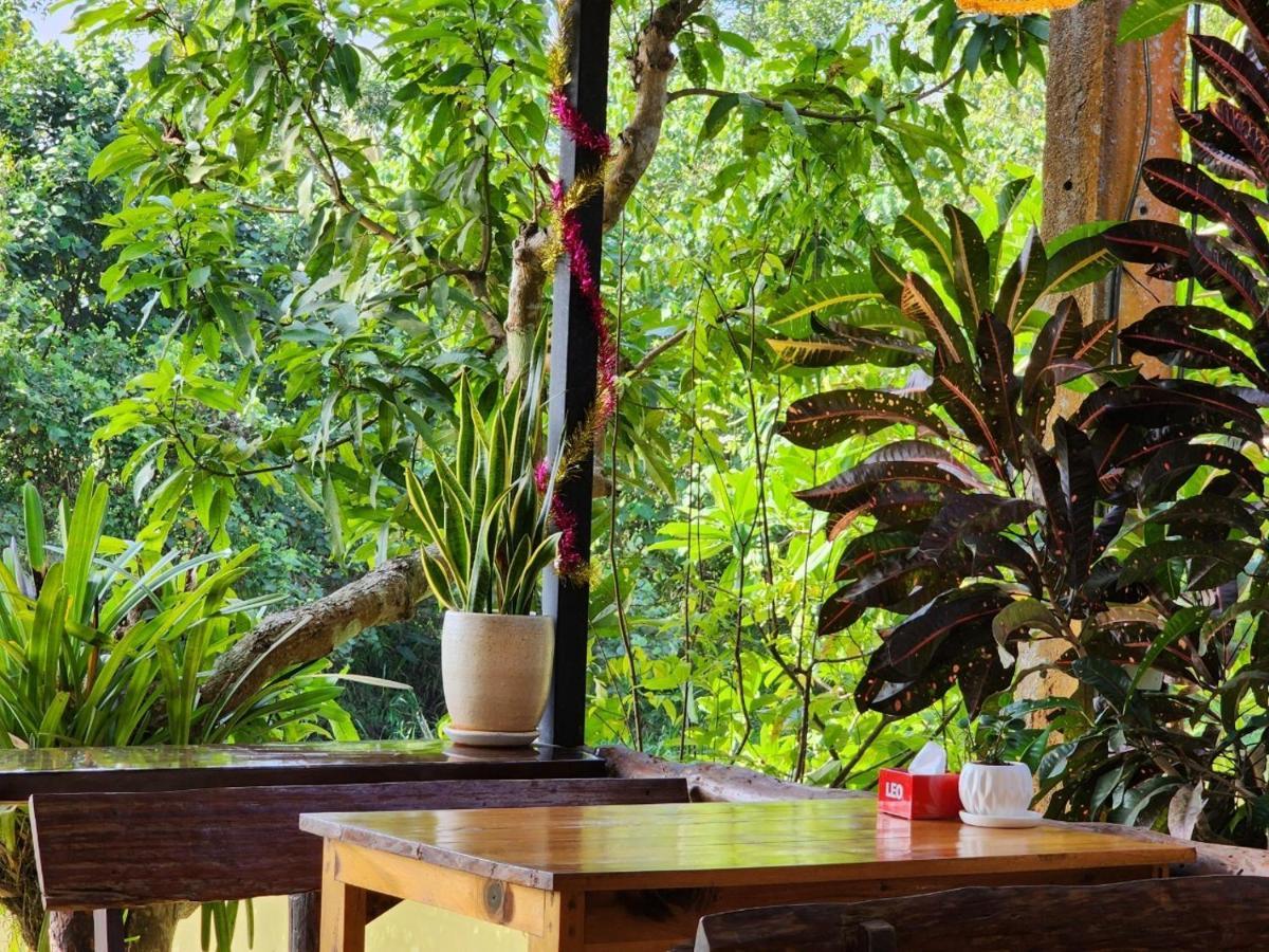 Suankafae Resort สวนกาแฟรีสอร์ท Surat Thani Eksteriør bilde