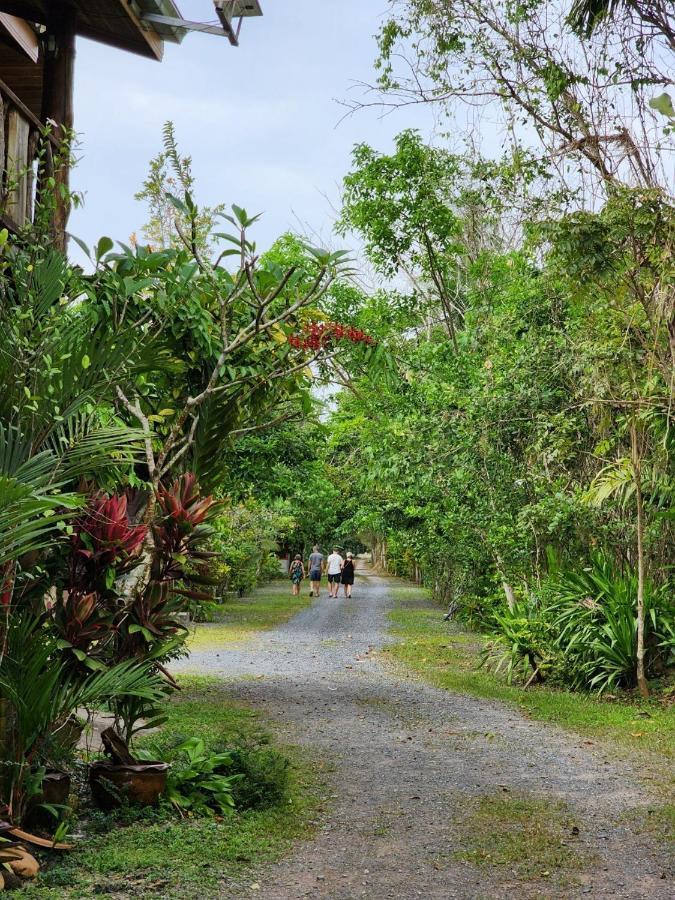 Suankafae Resort สวนกาแฟรีสอร์ท Surat Thani Eksteriør bilde