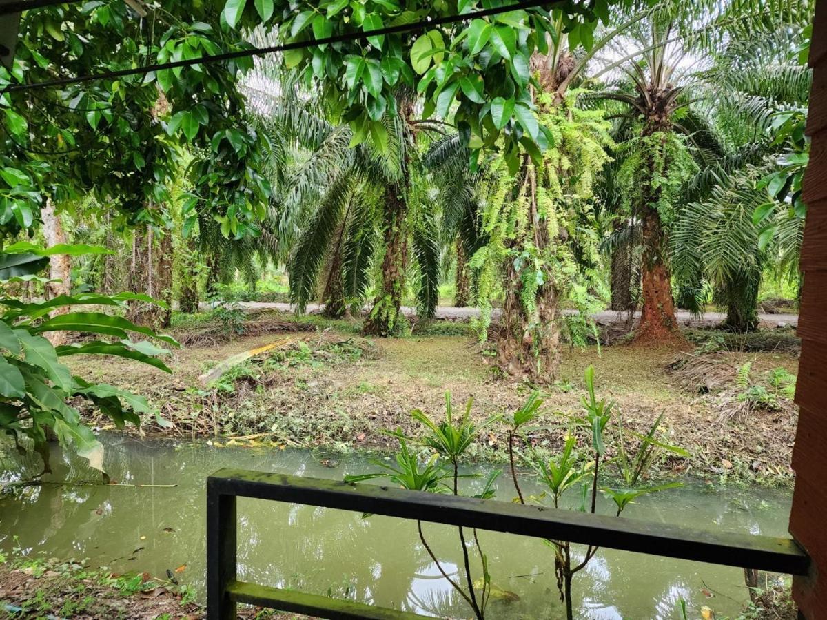 Suankafae Resort สวนกาแฟรีสอร์ท Surat Thani Eksteriør bilde